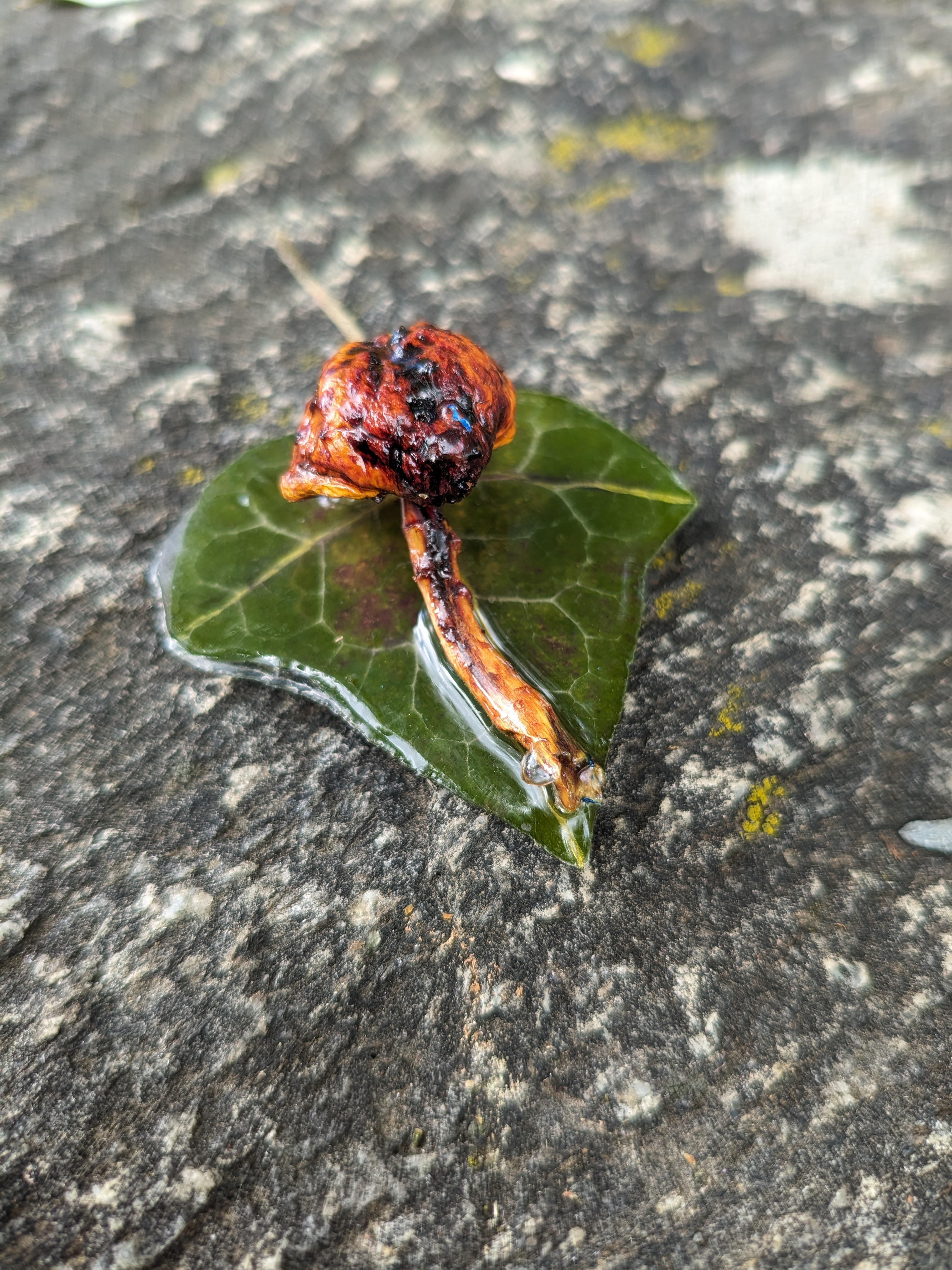 A descriptive alt text for the image